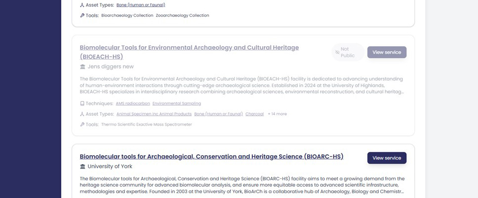Preview Service before publication